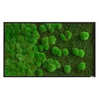 best of GREEN Moos Wand boGsGMbWKmVL100x60HoWe Grün