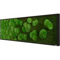Best of GREEN Moos-Wand 140 x 40 cm schwarzer Rahmen