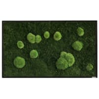 Best of GREEN Moos-Wand 100 x 60 cm weißer Rahmen