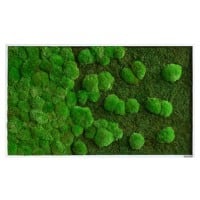 Best of GREEN Moos-Wand 100 x 60 cm weißer Rahmen