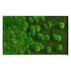 Best of GREEN Moos-Wand 100 x 60 cm weißer Rahmen