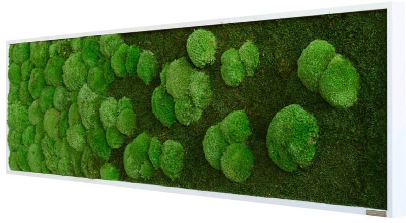 best of GREEN Mossbild 140 x 4 x 40 cm