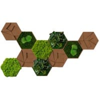 Best of GREEN Kork-Hexagon Set mit 10 Grün, Braun