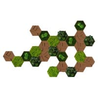 Best of GREEN Kork-Hexagon Set mit 25 Grün, Braun