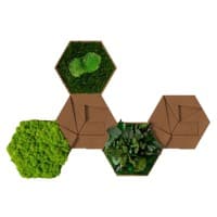 Best of GREEN Kork-Hexagon Set mit 5 Grün, Braun
