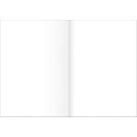 Ursus Staufen Style Zeichenpapier DIN A3 auf DIN A4 250 Blatt 80 g/m² Blanko Gefalzt 250 Stück