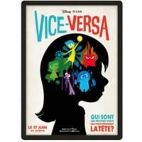 Djois Magneto DIN A2 Inforahmen Selbstklebend Schwarz Haftend PVC 192957 46,2 (B) x 0,2 (T) x 63,6 (H) cm