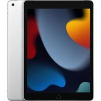 Apple iPad iPad 25,9 cm (10,2") 64 GB Silber MK493FD/A