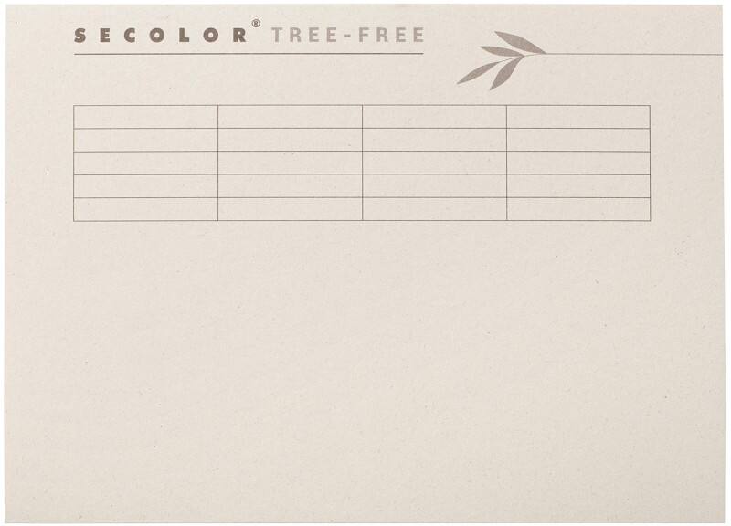 Djois Secolor Tree-Free Aktendeckel Folio Creme Karton 100% Recyclet 226 mm 225 g/m² 10 Stück