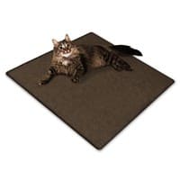 Floordirekt Katzen-Kratzteppich Katzen 5585 Dunkelbraun Quadratisch 500 mm x 500 mm