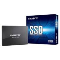 Gigabyte Festplatte GP-GSTFS31256GTND SSD 256 GB