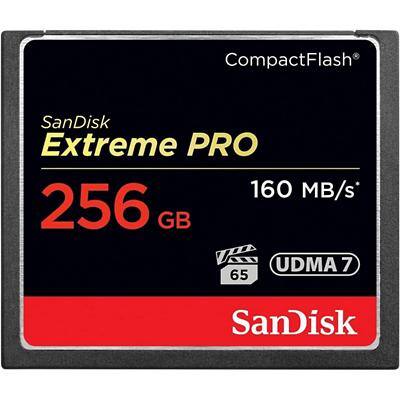 SanDisk Speicherkarte SDCFXPS-256G-X46