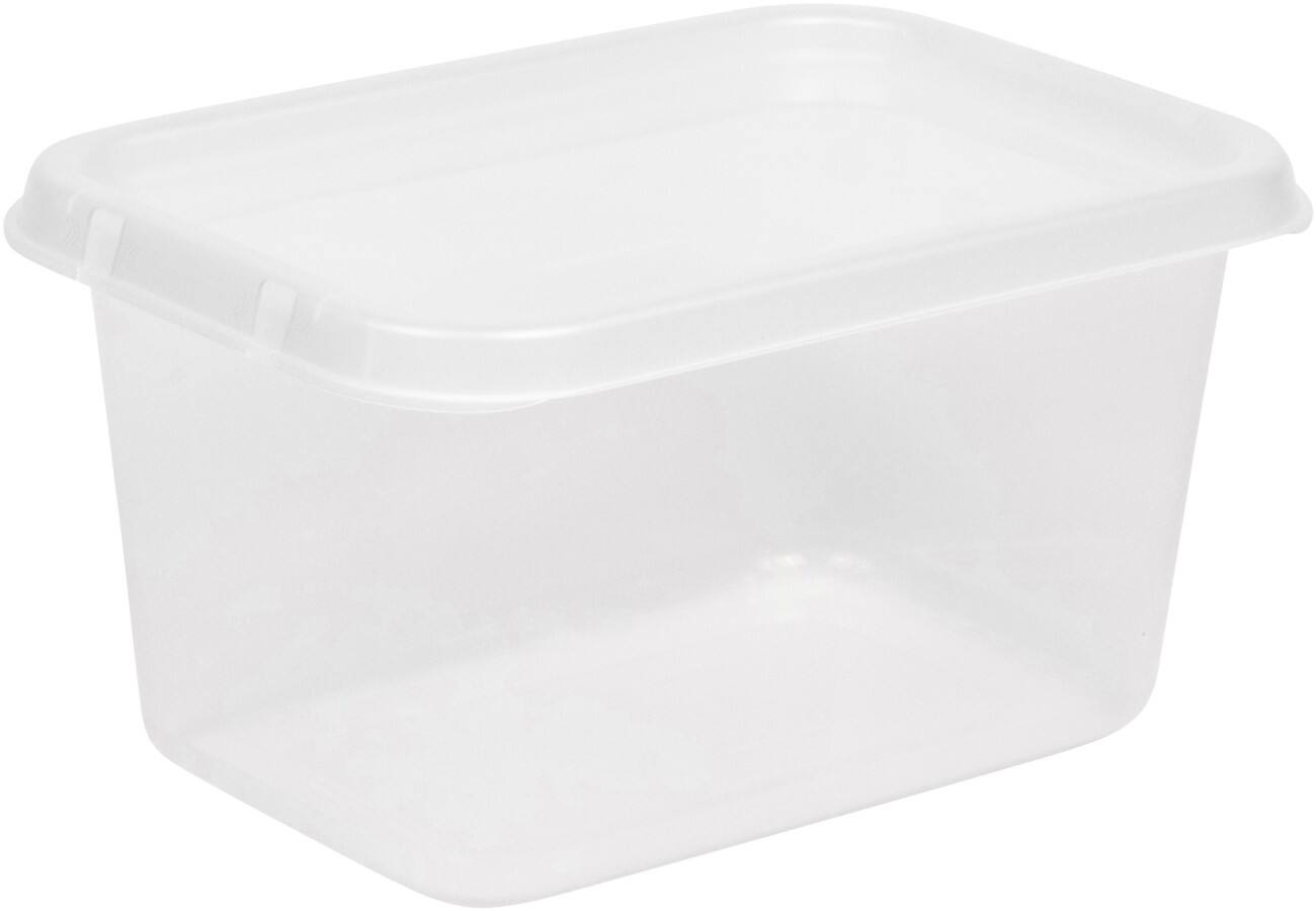 Viking Basic PP (Polypropylen) Aufbewahrungsbox 11 L Mit Deckel Transparent 20 x 38 x 26,5 cm