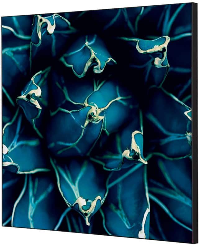 SHOWDOWN Textile Wanddekoration Kaktus Mehrfarbig Aluminium