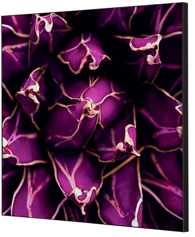 SHOWDOWN Textile Wanddekoration Kaktus Mehrfarbig Aluminium