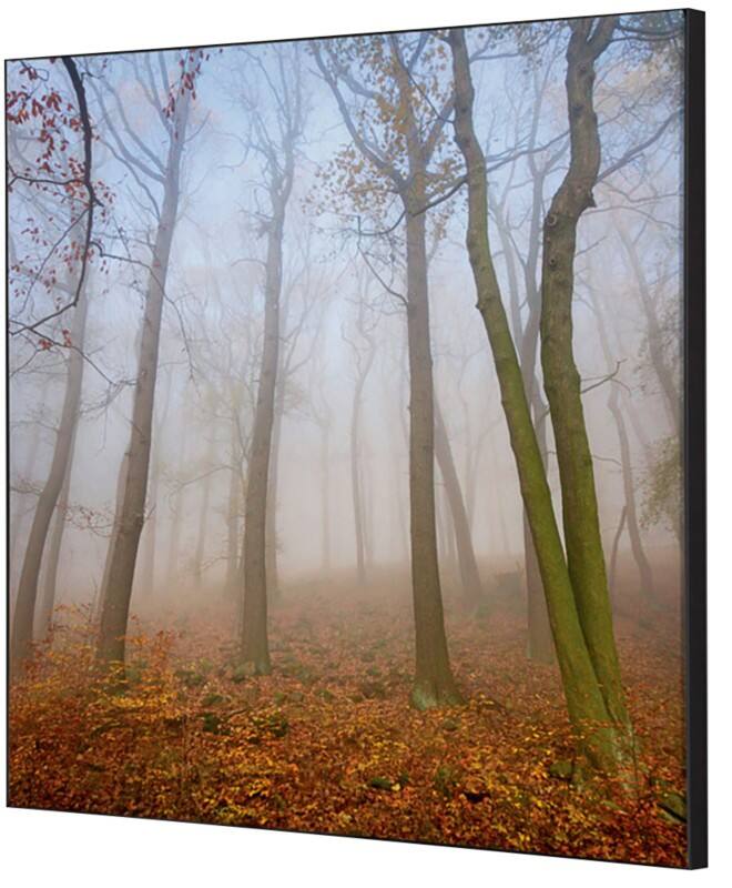 SHOWDOWN Textile Wanddekoration Herbstnebel Mehrfarbig Aluminium