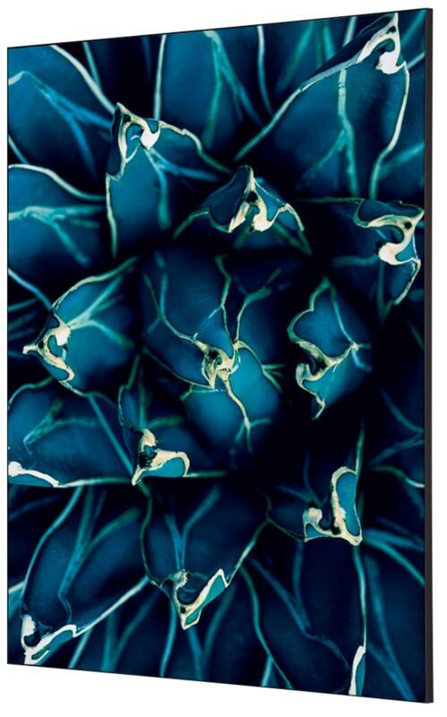 SHOWDOWN Textile Wanddekoration Kaktus Mehrfarbig Aluminium