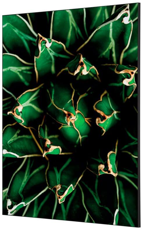 SHOWDOWN Textile Wanddekoration Kaktus Mehrfarbig Aluminium