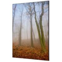 SHOWDOWN Textile Wanddekoration Herbstnebel Mehrfarbig Aluminium