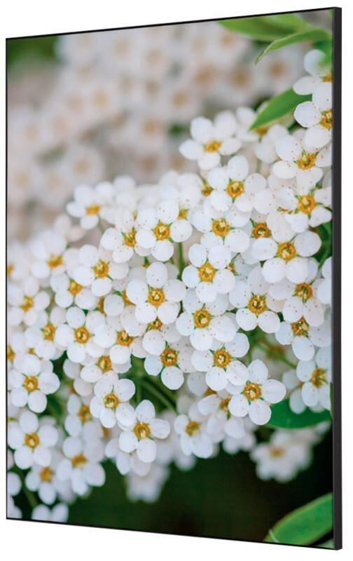 SHOWDOWN Textile Wanddekoration Weiße Blume Mehrfarbig Aluminium