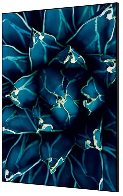 SHOWDOWN Textile Wanddekoration Kaktus Mehrfarbig Aluminium