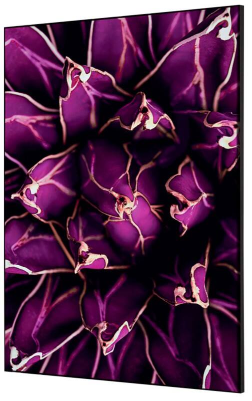 SHOWDOWN Textile Wanddekoration Kaktus Mehrfarbig Aluminium