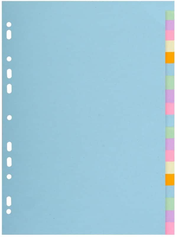 Exacompta Forever Blanko-Register Farbig sortiert 20 Stück 170 g/m² Karton 2620E