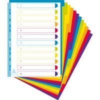 Exacompta Campus Blanko Register DIN A4+ Farbig sortierte Tabs 12-teilig PP (Polypropylen) 11 Löcher 3812E 15 Stück