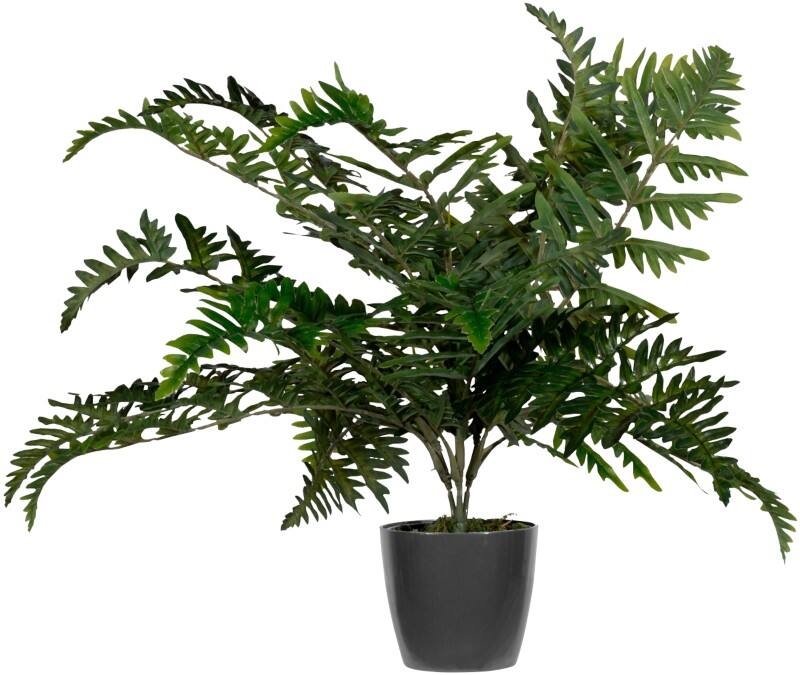 meet powered by PAPERFLOW Künstliche Pflanze Farn 55 cm Grün