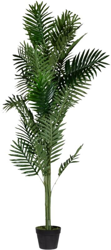 meet powered by PAPERFLOW Künstliche Pflanze Palme 160 cm Grün