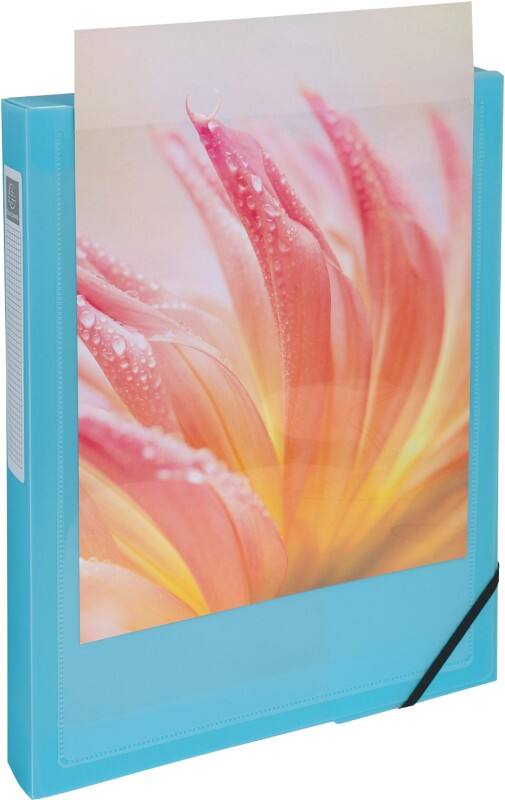 Exacompta Kreacover Pastel Archivbox 59279E DIN A4 PP (Polypropylen) Gummiband 25 (B) x 4 (T) x 33 (H) cm Farbig sortiert 4,0 cm 5 Stück