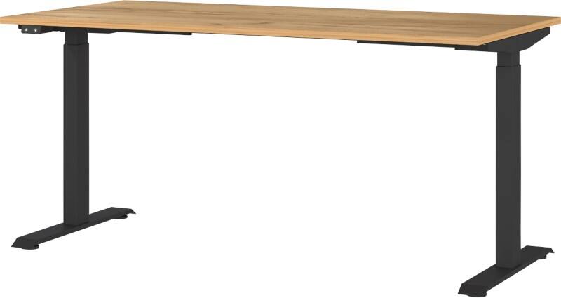 GERMANIA GW-Mailand Höhenverstellbar Sitz-Stehschreibtisch Eiche T-Fuß 1.600 (B) x 800 (T) x 1.200 (H) mm Metall, Spanplatte