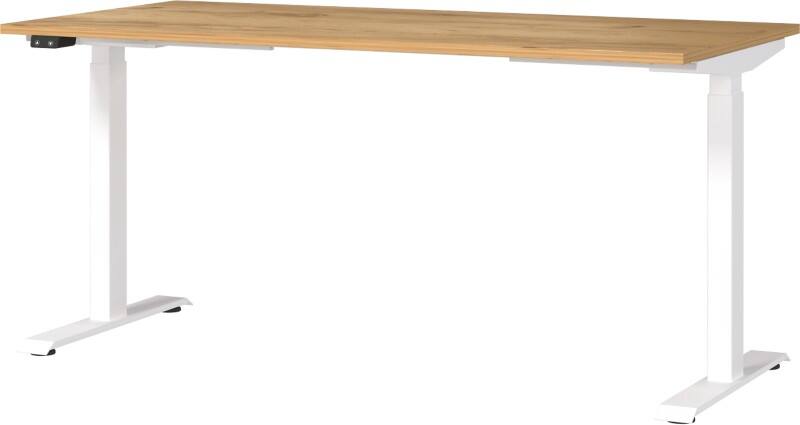 GERMANIA GW-Mailand Höhenverstellbar Sitz-Stehschreibtisch Eiche T-Fuß 1.600 (B) x 800 (T) x 1.200 (H) mm Metall, Spanplatte