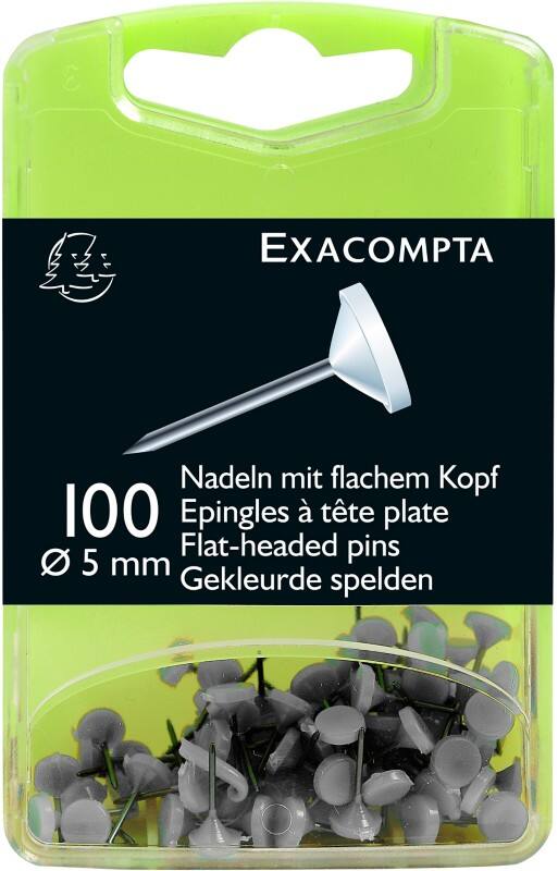 Exacompta Stecknadeln 5 mm Weiß 100 Stück