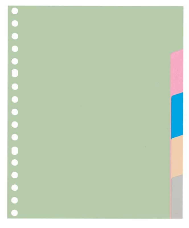 KANGARO Blanko Blanko Register  DIN A5 Farbig sortiert 5-teilig 180 g/m² Pappkarton 17 Löcher P505M 5 Blatt