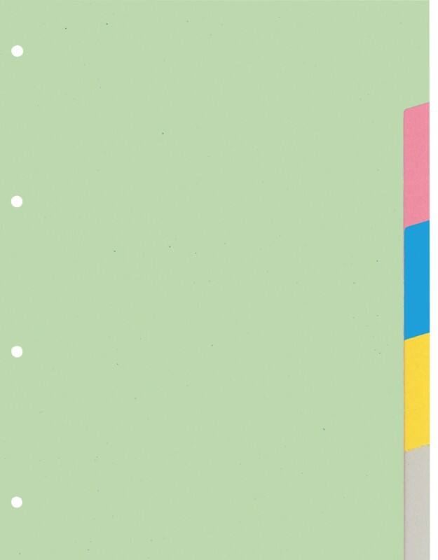 KANGARO Blanko Register DIN A4 Farbig sortiert 10-teilig 180 g/m² Pappkarton 4 Löcher PE405