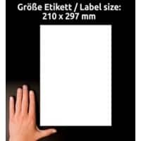 AVERY Zweckform Universaletiketten L7567-25 Ja DIN A4 Transparent 210 x 297 mm 25 Blatt à 1 Etiketten
