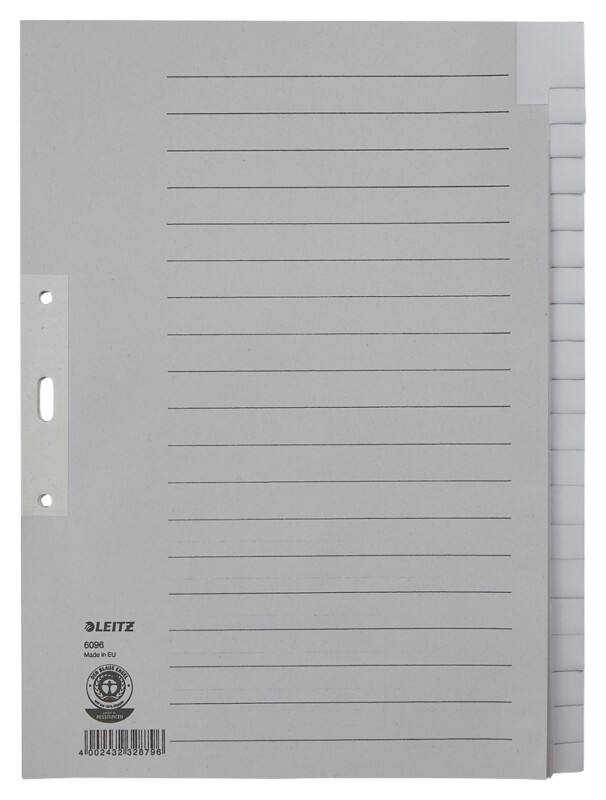 Leitz Alpha Blanko Register Recycelt 100% DIN A4 Überbreite Grau 20-teilig Pappkarton 3 Löcher