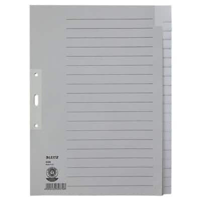Leitz Alpha Blanko Register Recycelt 100% DIN A4 Überbreite Grau 20-teilig Pappkarton 3 Löcher