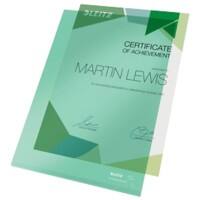 Leitz Super Premium Sichthüllen DIN A4 Grün PVC (Polyvinylchlorid) 150 Mikron 100 Stück