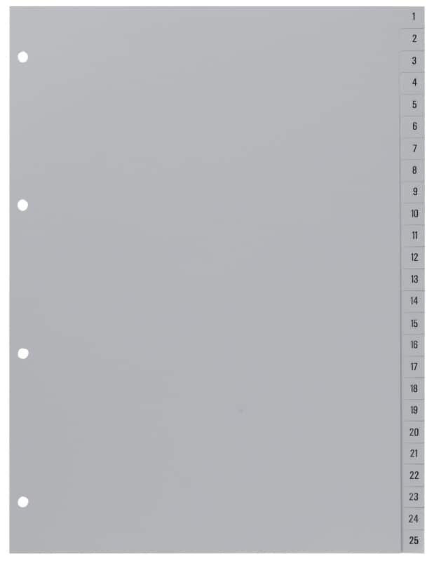 Hetzel Register 721311 DIN A4 Grau 100-teilig 4-fach Kunststoff 1 bis 100