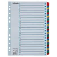 Esselte Mylar Register 100164 DIN A4 Mit verstärkten Taben Mehrfarbig 31-teilig 11 Löcher 160 g/m² Karton 1 bis 31