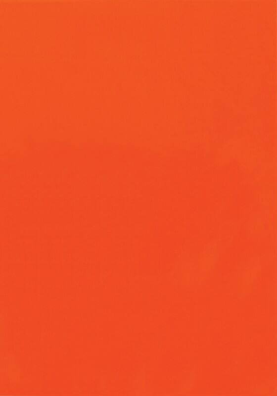 Multifunktionsetiketten Neonrot Rechteckig 25 Etiketten pro Packung