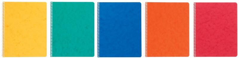 Ursus Style Notizbuch DIN A5 Kariert Spiralbindung Pressspan Farbig sortiert Perforiert 96 Seiten 10 Stück à 48 Blatt