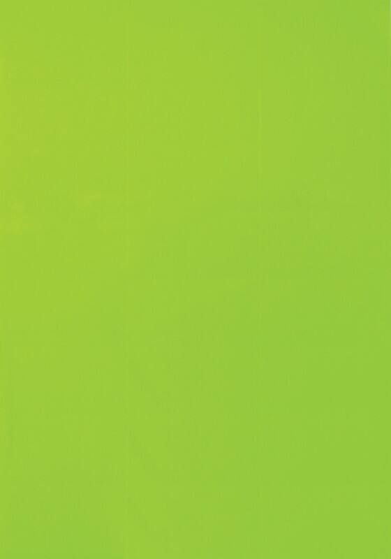 Z-Products VIK-541-GN Multifunktionsetiketten Neon Grün 70 x 36 mm 24 Blatt à 25 Etiketten