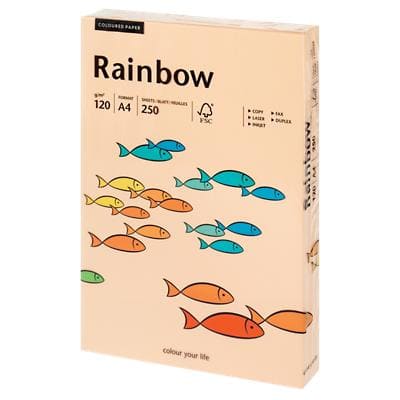 Rainbow Kopier-/ Druckerpapier DIN A4 120 g/m² Lachs 40 250 Blatt