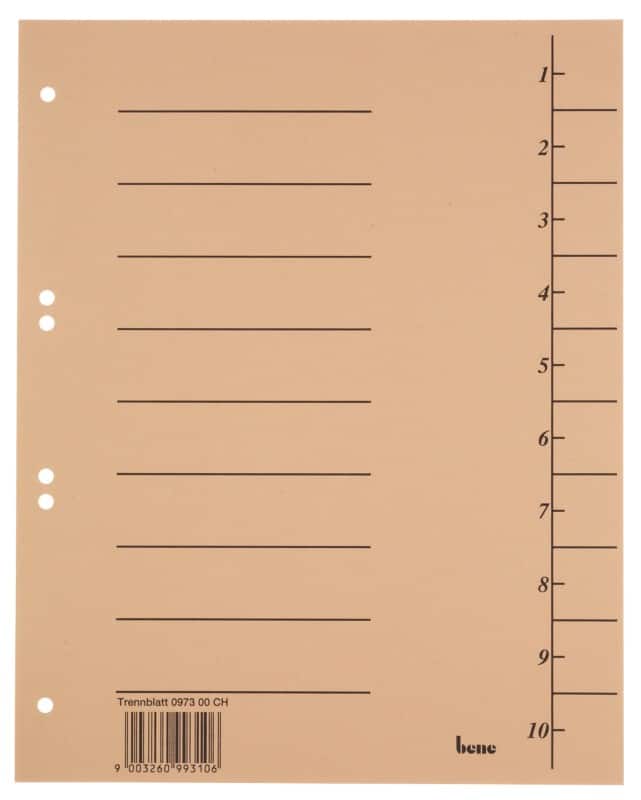 Bene Trend 1 bis 10 Trennblätter DIN A4 Chamois 10-teilig Pappkarton 6 Löcher 100 Stück