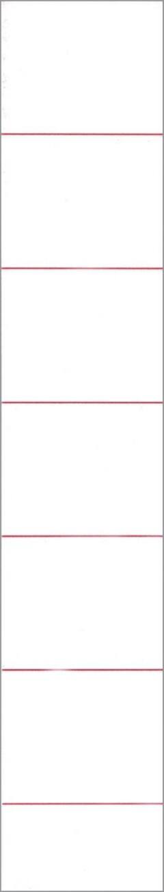 Office Depot Rückenschilder DIN A4 50 x 30 mm 10 Stück