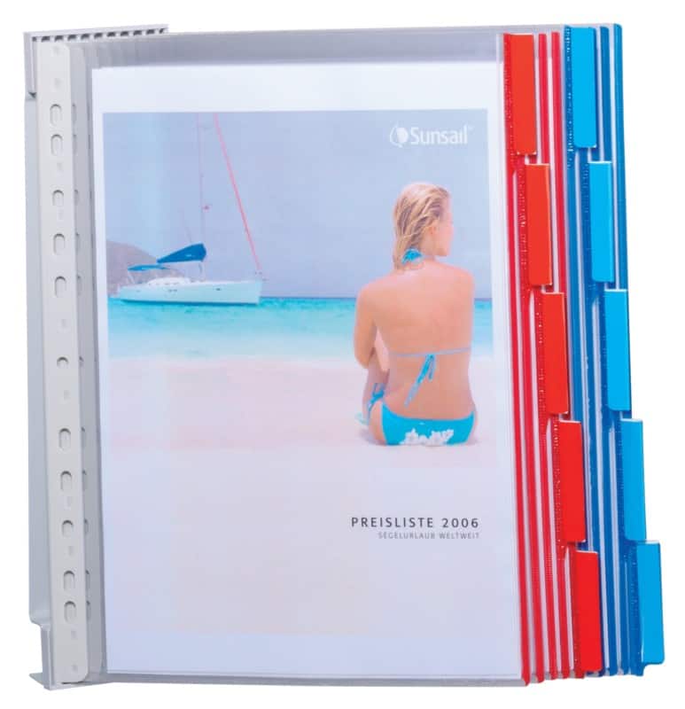 DURABLE FUNCTION Sichttafelsystem 20 Flächen DIN A4 PVC (Polyvinylchlorid) Farbig sortiert