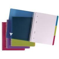 Clairefontaine Linicolor A4+ Drahtgebunden Farbig sortiert PP Cover Notizbuch Kariert 120 Blatt